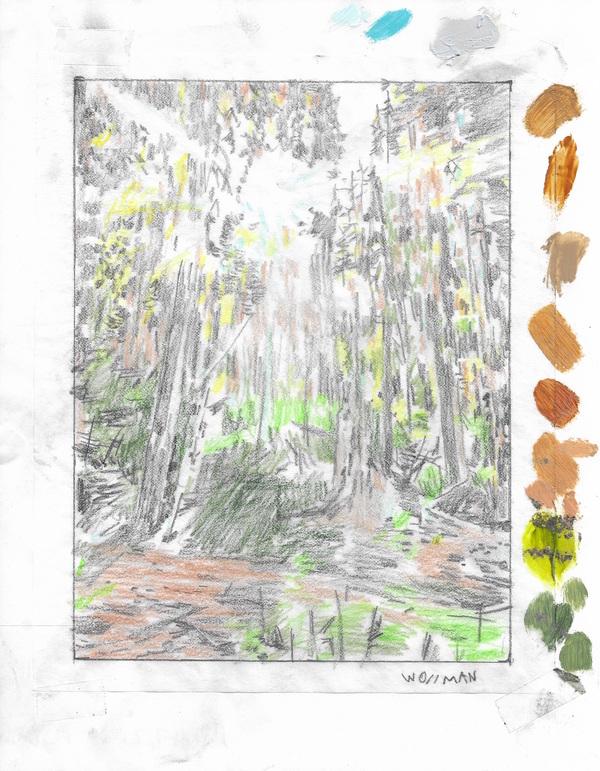 Peeking sunbeams I TIFFANY WOLLMAN 2019 Pencil and pencil crayon on paper
