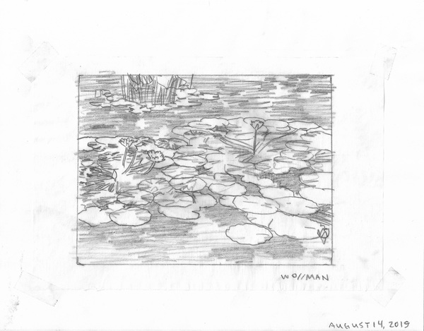 Lily line drawing TIFFANY WOLLMAN 2019 Pencil on paper