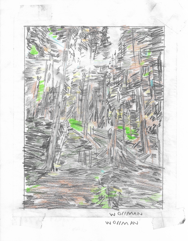 Peeking sunbeams II TIFFANY WOLLMAN 2019 Pencil and pencil crayon on paper