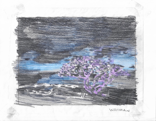 purple tree in the night light TIFFANY WOLLMAN 2019 Pencil and pencil crayon on paper