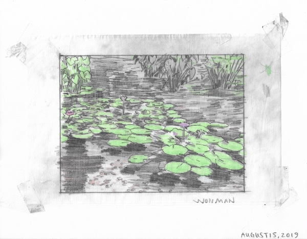 Lilies floating or levitating TIFFANY WOLLMAN 2019 Pencil and pencil crayon on paper