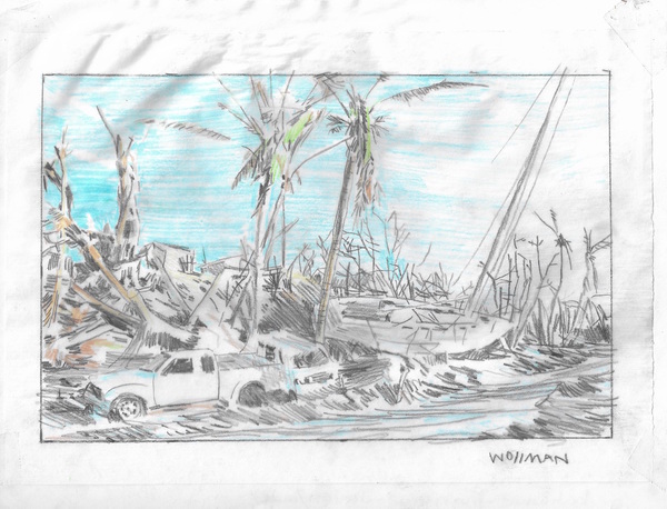 Bahamas landscape after Dorian TIFFANY WOLLMAN 2019 Pencil and pencil crayon on paper