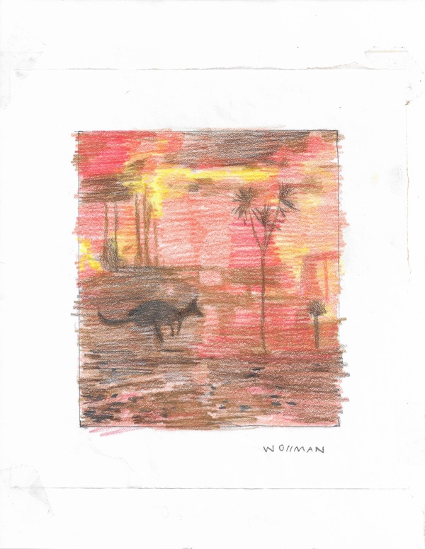 Fleeing Wildlife TIFFANY WOLLMAN 2020 Pencil and pencil crayon on paper