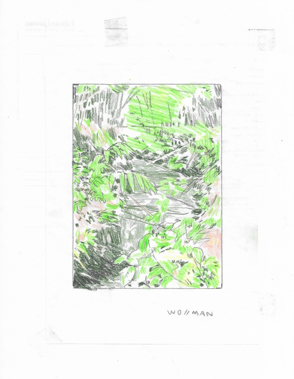 Bambi Trail II TIFFANY WOLLMAN 2020 Pencil and pencil crayon on paper