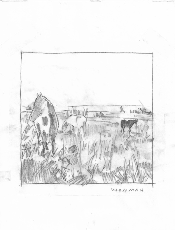 TIFFANY WOLLMAN 2018 Pencil on paper TIFFANY WOLLMAN 2018 Pencil on paper
