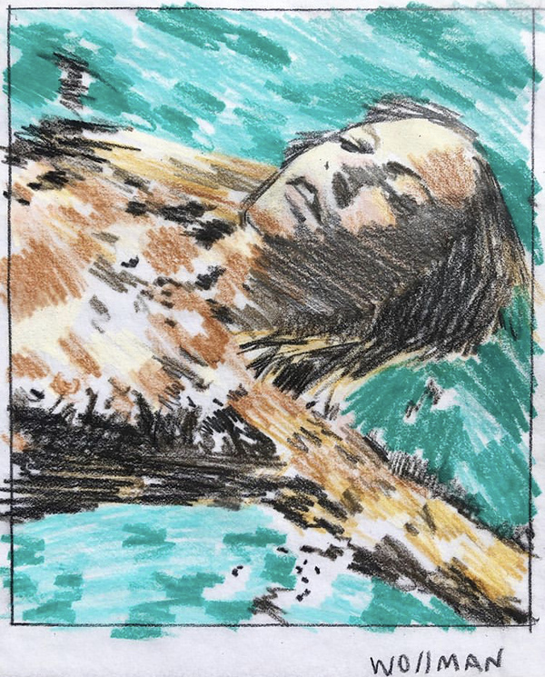 Floating Bardot TIFFANY WOLLMAN 2019 Pencil crayon and pencil on paper