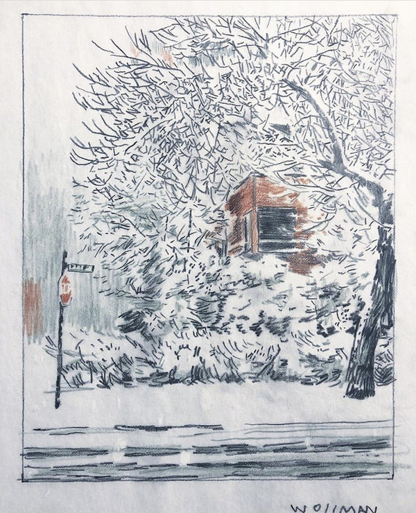 Winter Wonderland TIFFANY WOLLMAN 2019 Pencil crayon and pencil on paper