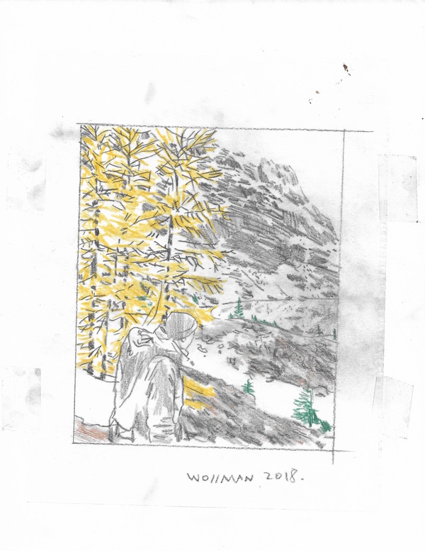 Hiking in the Larches TIFFANY WOLLMAN 2018 Pencil and pencil crayon