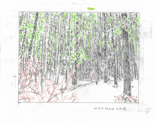 Mysterious teepee TIFFANY WOLLMAN 2018 Pencil and pencil crayon on paper