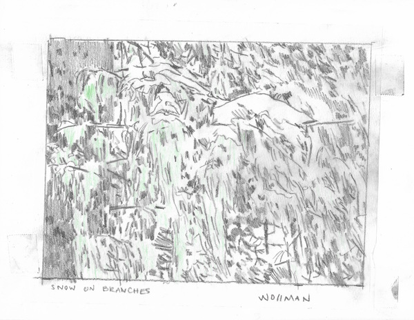 Snow on branches TIFFANY WOLLMAN 2018 Pencil and pencil crayon on paper