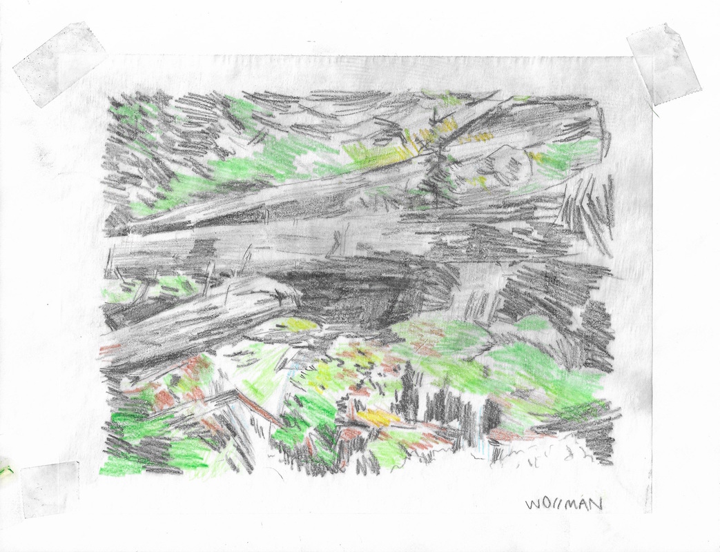 TIFFANY WOLLMAN 2019 TIFFANY WOLLMAN 2019