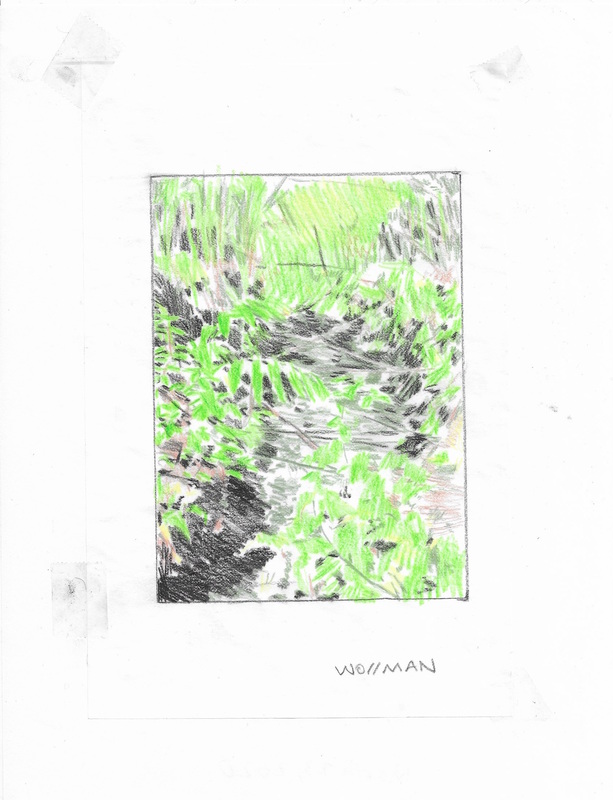 TIFFANY WOLLMAN 2020 Pencil and pencil crayon on paper TIFFANY WOLLMAN 2020 Pencil and pencil crayon on paper