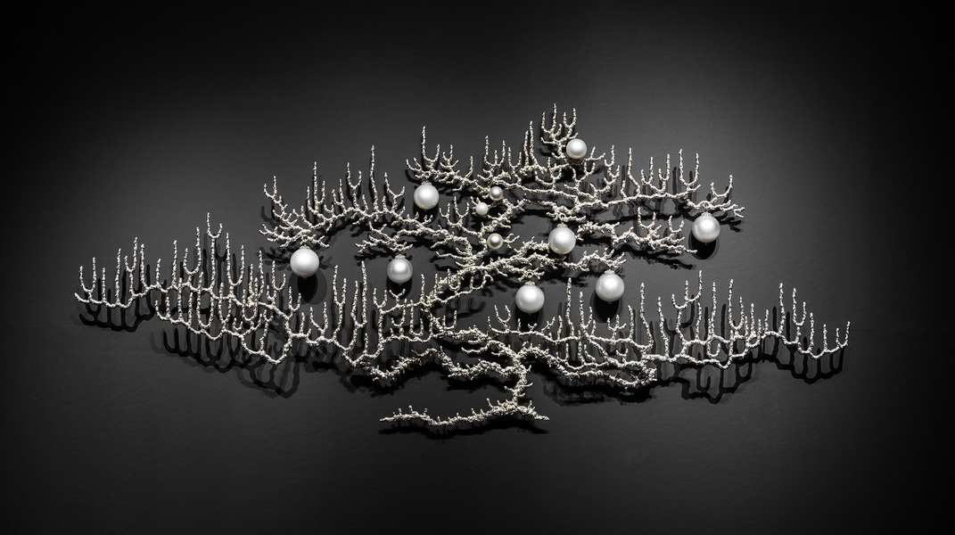 Gorgonia 12 T i m o t h y H o r n Adelaide Biennial nickel-plated bronze, mirrored blown glass