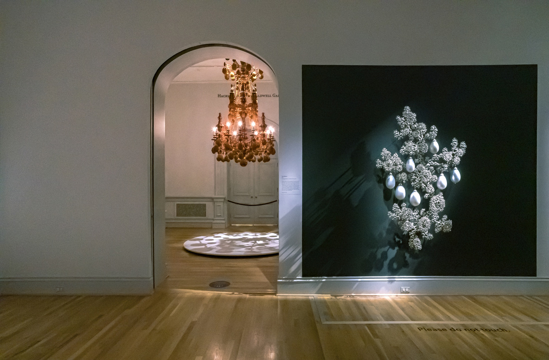 T i m o t h y H o r n Smithsonian American Art Museum T i m o t h y H o r n Smithsonian American Art Museum