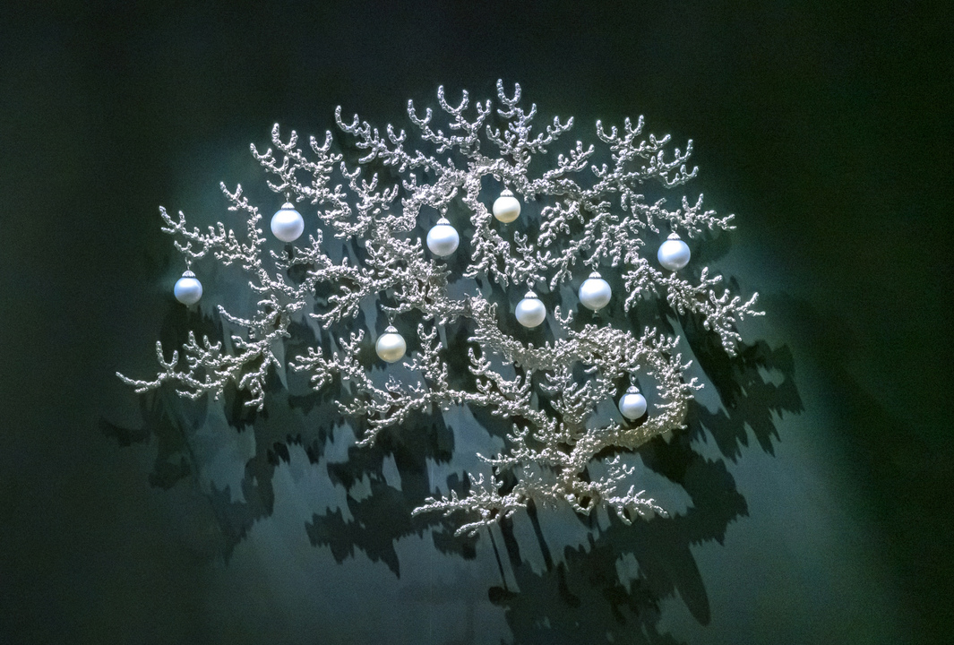 Gorgonia 17 T i m o t h y H o r n Smithsonian American Art Museum nickel-plated bronze, mirrored blown glass