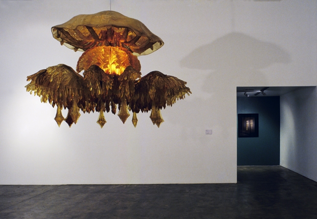 Discomedusae T i m o t h y H o r n Discomedusae (2004)