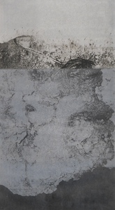 Below the Surface Mitchell Visoky Monotypes Monotype