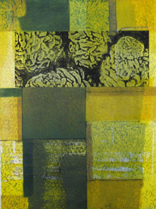 Invasion Mitchell Visoky Monotypes Monotype