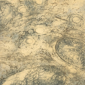 Navigating Currents IV Mitchell Visoky Monotypes Collograph