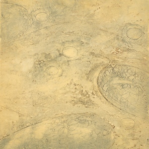 Navigating Currents II Mitchell Visoky Monotypes Collograph