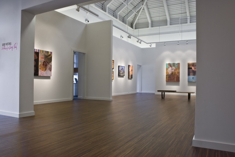 entries of a diary thief exhibition