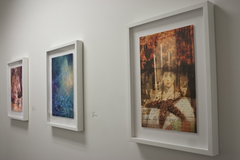 entries of a diary thief exhibition