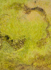 2006, No. 3 Nature-based Abstraction mixed media on paper