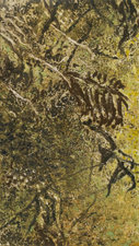 Manoa, No. 26 Waterfalls ink monotype on paper