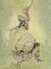 2013, No. 1 Nature-based Abstraction mixed media on paper