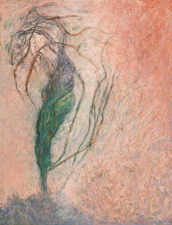 2014, No. 1 Nature-based Abstraction mixed media on paper