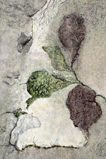 2015, No. 9 Nature-based Abstraction mixed media on paper