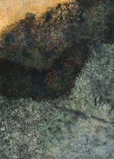 2016, No. 1 Nature-based Abstraction mixed media on paper
