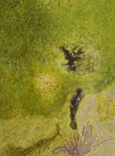 2006, No. 4 Nature-based Abstraction mixed media on paper