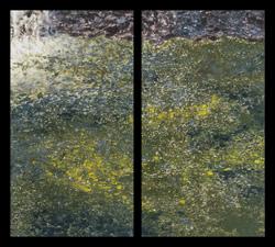 Waterfalls Diptych, No. 11 Waterfall Diptychs ink monotype on paper