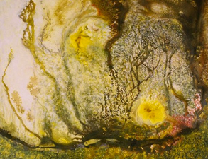 2007, No. 6 Nature-based Abstraction mixed media on paper
