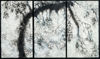 Peach Tree Shadows, No. 6 Peach Tree Shadows monotype with gouache on paper