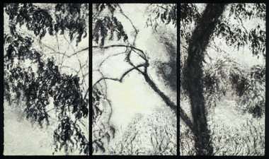 Peach Tree Shadows, No. 5 Peach Tree Shadows monotype on paper