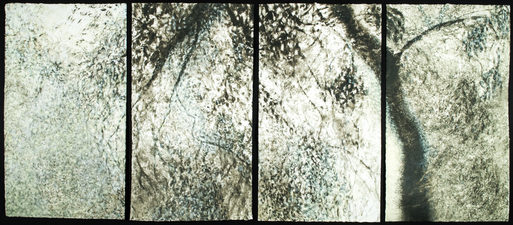 Peach Tree Shadows, No. 7 Peach Tree Shadows monotype with gouache on paper