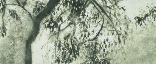 Peach Tree Shadows, No. 2 Peach Tree Shadows monotype on paper