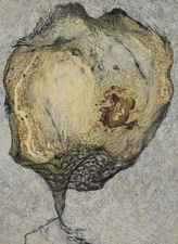 2001, No. 3 Nature-based Abstraction mixed media on paper
