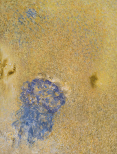 2008, No. 13 Nature-based Abstraction mixed media on paper