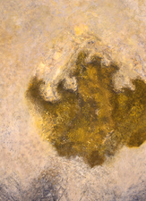 2002, No. 12 Nature-based Abstraction mixed media on paper