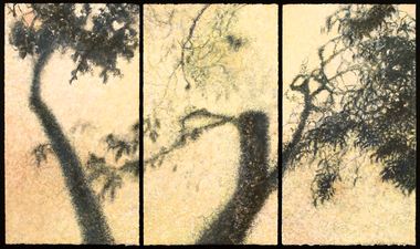 Peach Tree Shadows, No. 11 Peach Tree Shadows monotype with gouache on paper