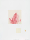  To any happy Flower   Monotype on Thai Kozo paper, chine collé on Somerset satin paper, gold leaf