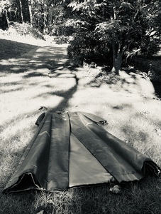 Adrienne Der Marderosian The Presence of Absence 