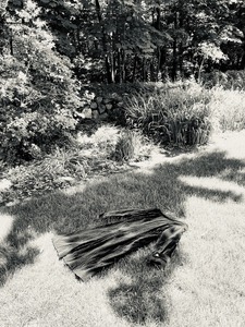 Adrienne Der Marderosian The Presence of Absence 