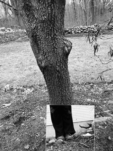 Adrienne Der Marderosian The Presence of Absence Photography