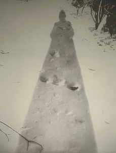 Adrienne Der Marderosian The Presence of Absence Photo-based Art