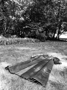 Adrienne Der Marderosian The Presence of Absence 