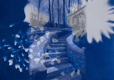 Blue Steps